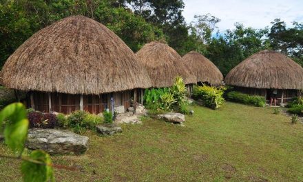 Rumah Honai Simbol Budaya Dan Kehidupan Suku Dani Di Papua