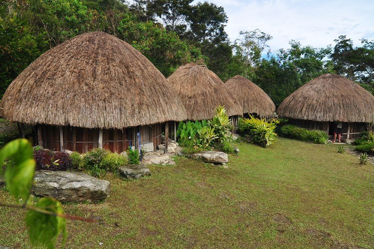 Rumah Honai Simbol Budaya Dan Kehidupan Suku Dani Di Papua