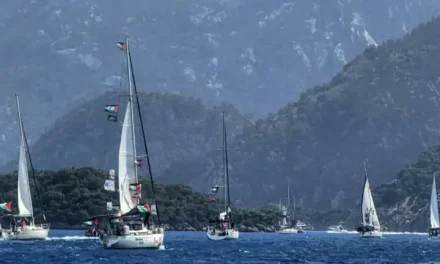 Aktivis Global Sumud Flotilla Diperlakukan Brutal Oleh Aparat Israel