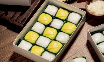 Kue Talam Semarang: Warisan Kuliner Yang Memikat Selera