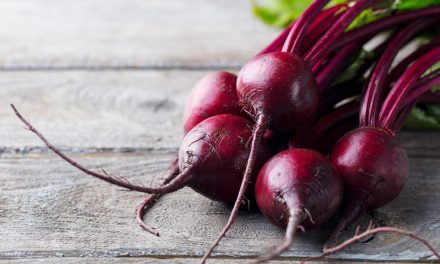 Bit Rendah Kalori! Kaya Nutrisi Dan Bisa Bantu Jaga Berat Badan
