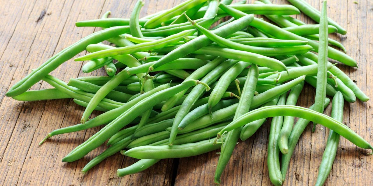 Jangan Di Remehkan! Buncis Punya Serat Tinggi & Nutrisi Penting