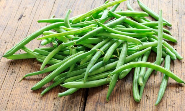 Jangan Di Remehkan! Buncis Punya Serat Tinggi & Nutrisi Penting
